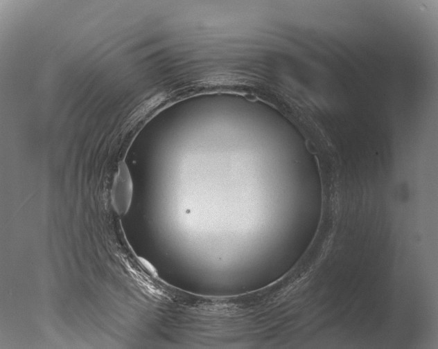 X0000076430833200610161150