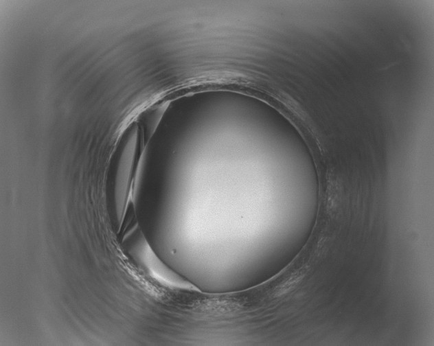 X0000076430834200610161150