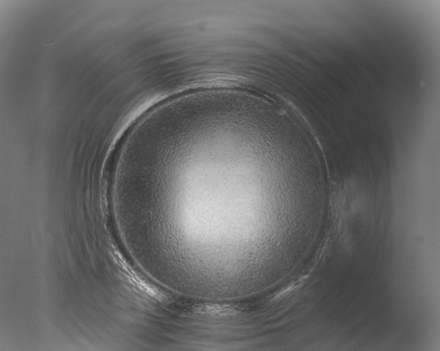 X0000076430835200610161150