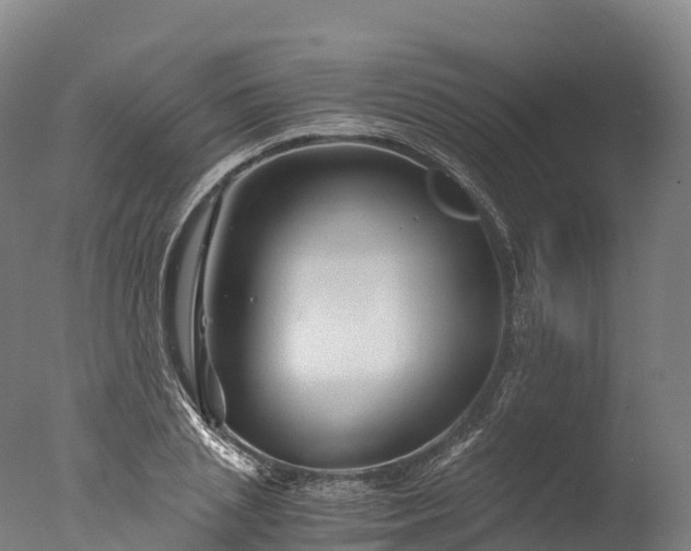 X0000076430837200610161150