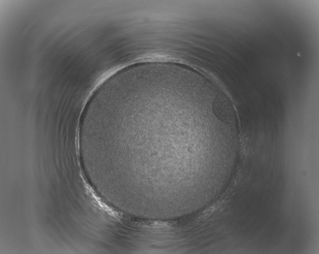 X0000076430839200610161150
