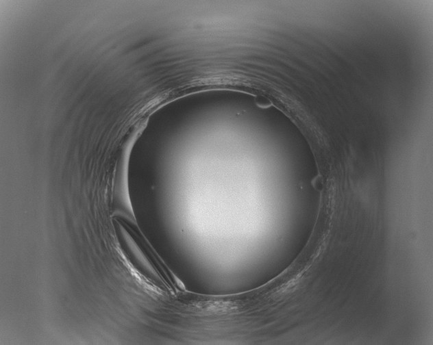 X0000076430841200610161150