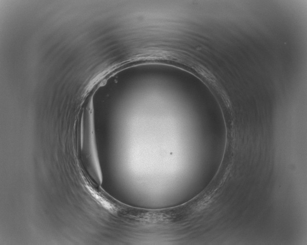 X0000076430842200610161150