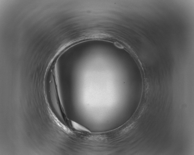X0000076430843200610161150