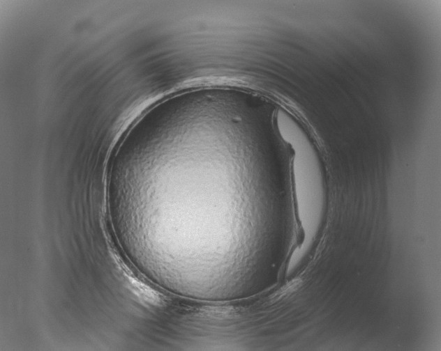 X0000076430844200610161150