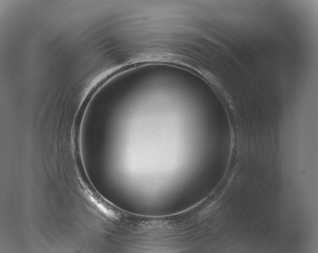 X0000076430846200610161150
