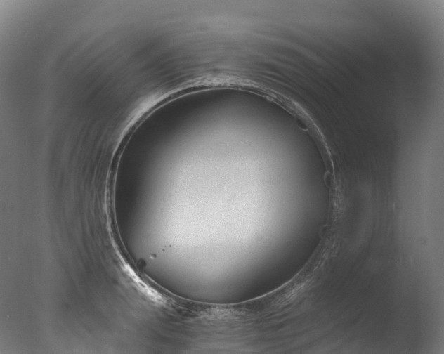 X0000076430847200610161150