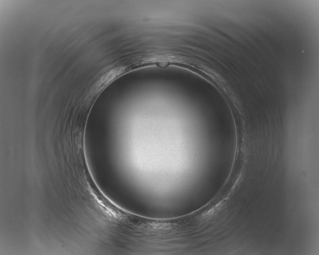 X0000076430849200610161150