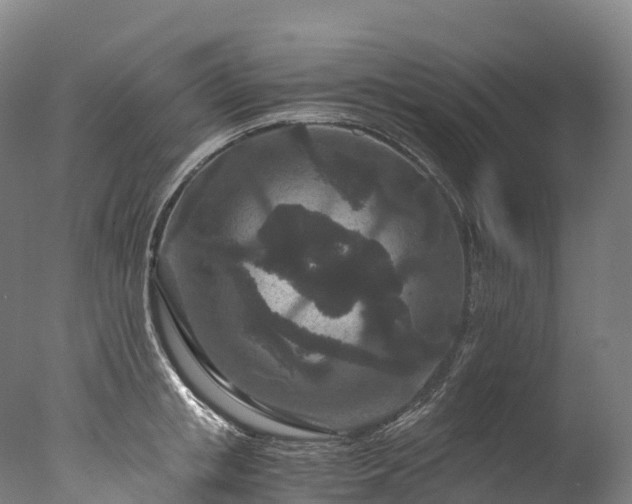 X0000076430853200610161150