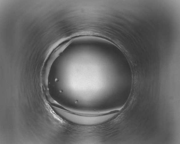 X0000076430854200610161151
