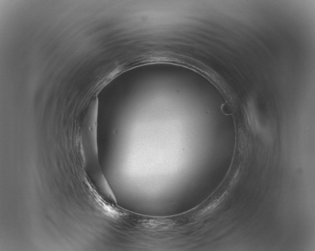 X0000076430857200610161151
