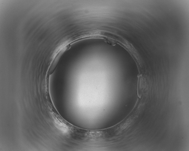 X0000076430858200610161151