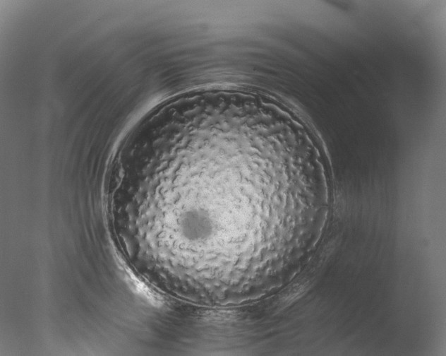 X0000076430859200610161151