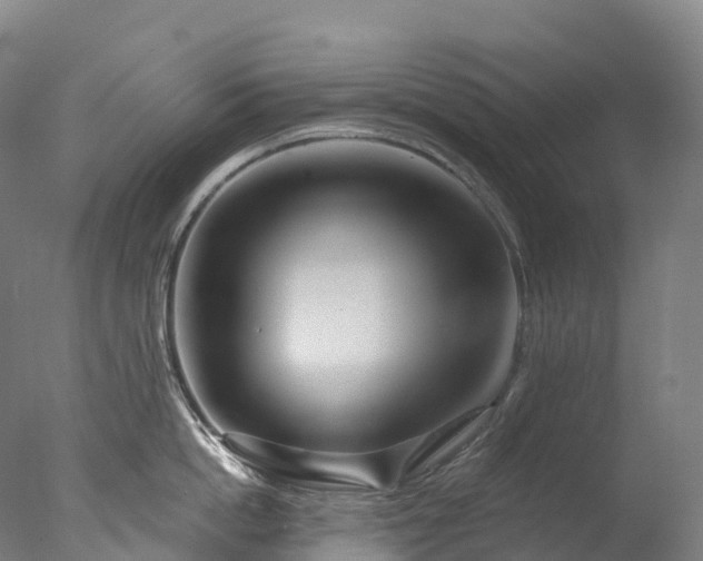 X0000076430862200610161151