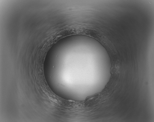 X0000076430865200610161150