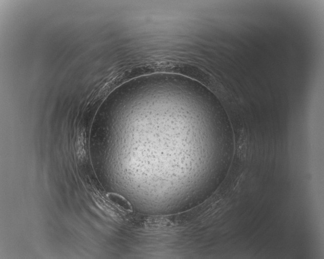 X0000076430866200610161150
