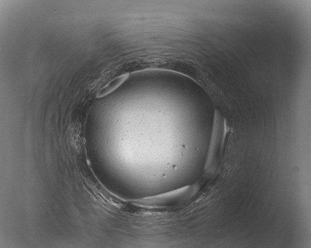 X0000076430867200610161150