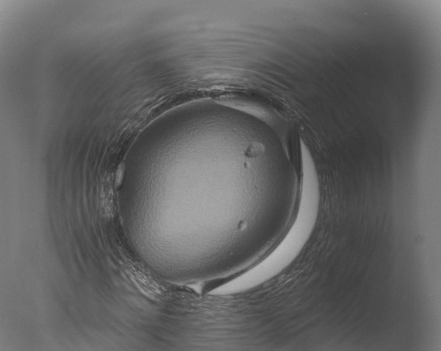 X0000076430868200610161150