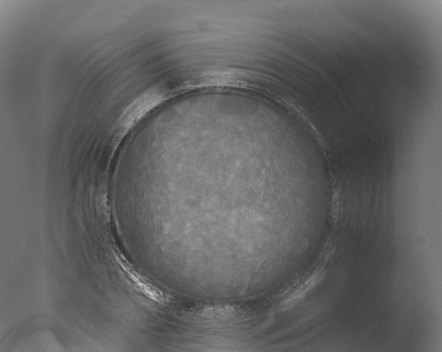 X0000076430882200610161150