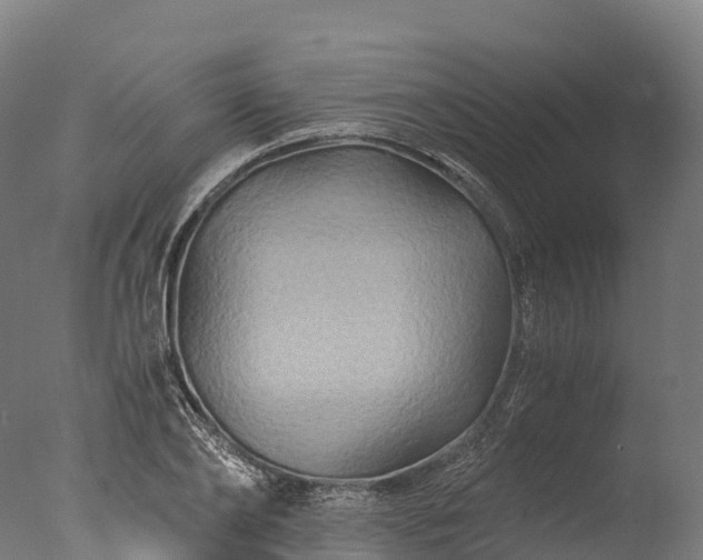 X0000076430886200610161150