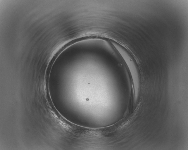 X0000076430888200610161149