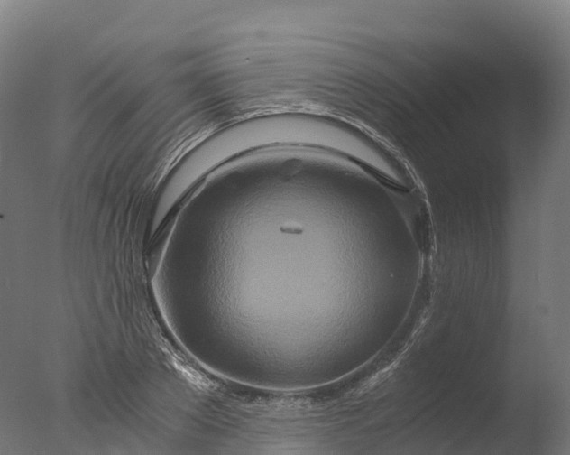 X0000076430889200610161149