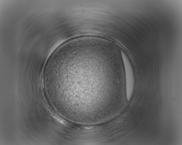 X0000076430891200610161149