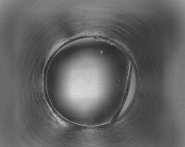 X0000076430894200610161149