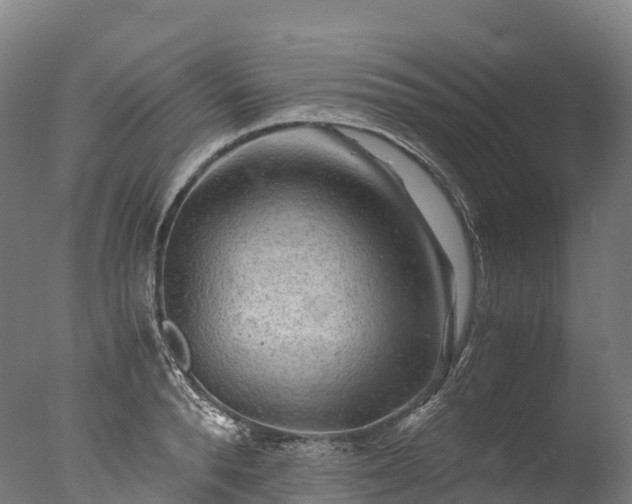 X0000076430896200610161149