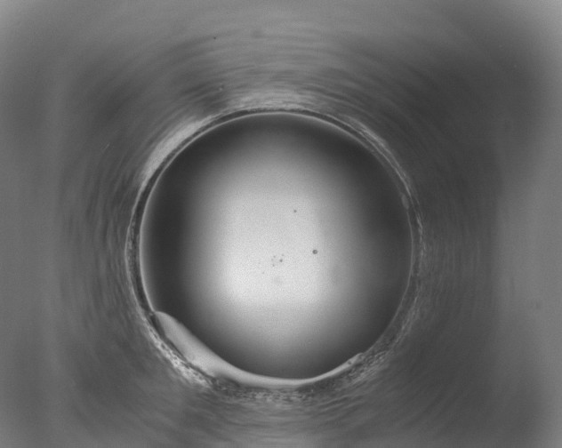 X0000076430901200610161149