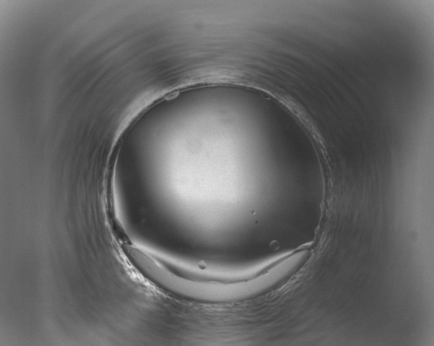 X0000076430904200610161149
