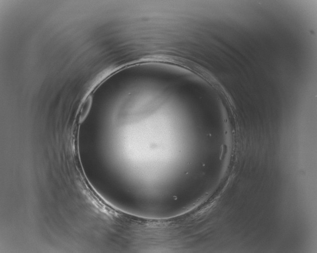 X0000076430908200610161149