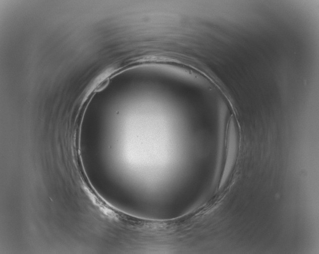 X0000076430909200610161149