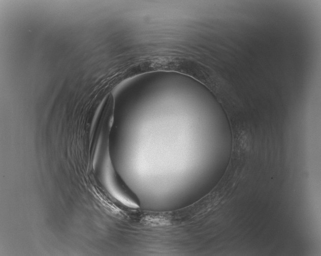 X0000076430914200610161148