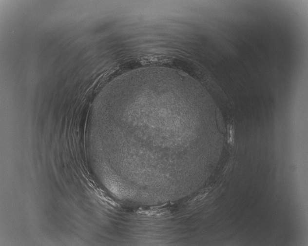X0000076430915200610161148
