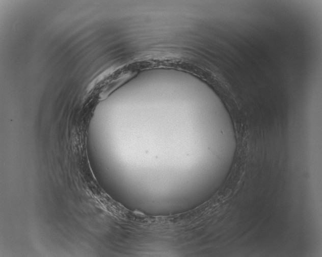 X0000076430920200610161148