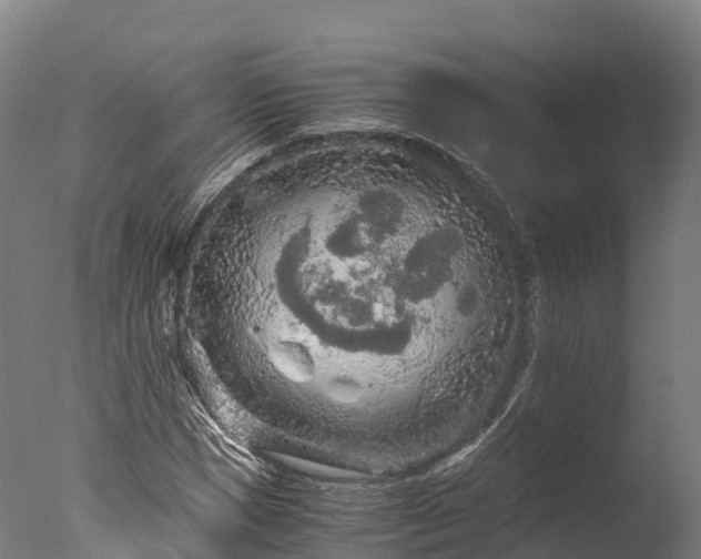 X0000076430921200610161148