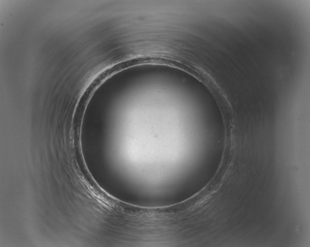 X0000076430924200610161148