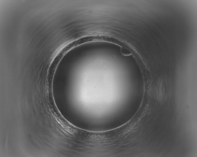 X0000076430927200610161149