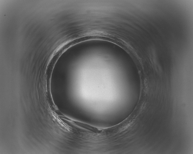 X0000076430931200610161149