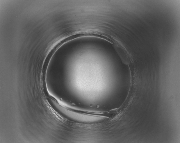 X0000076430932200610161149