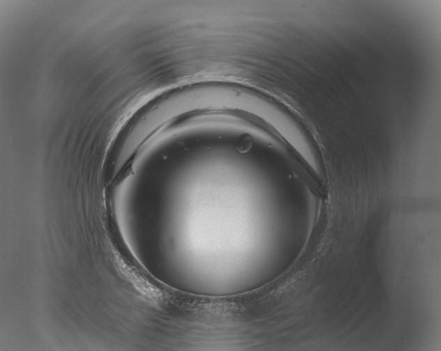 X0000076430934200610161149