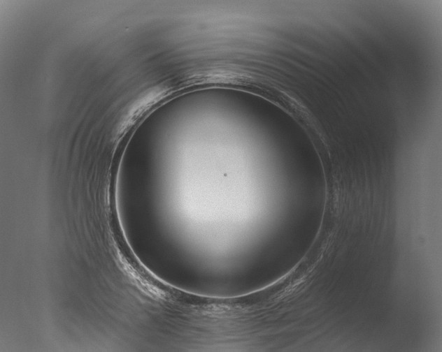 X0000076430938200610161149