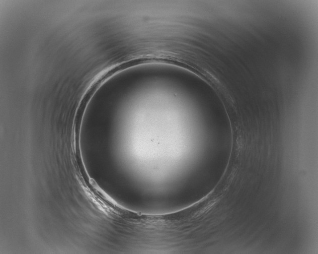X0000076430940200610161149