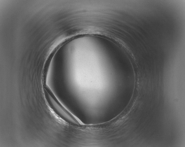 X0000076430942200610161149