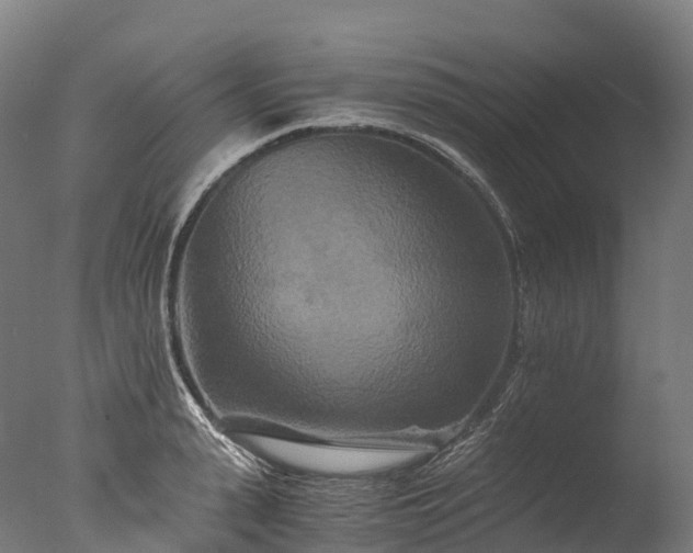 X0000076430943200610161149