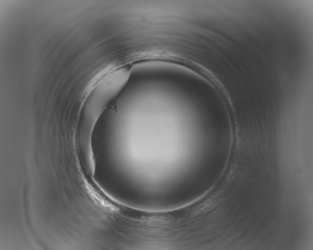X0000076430946200610161149