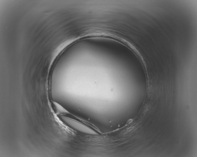 X0000076430951200610161149