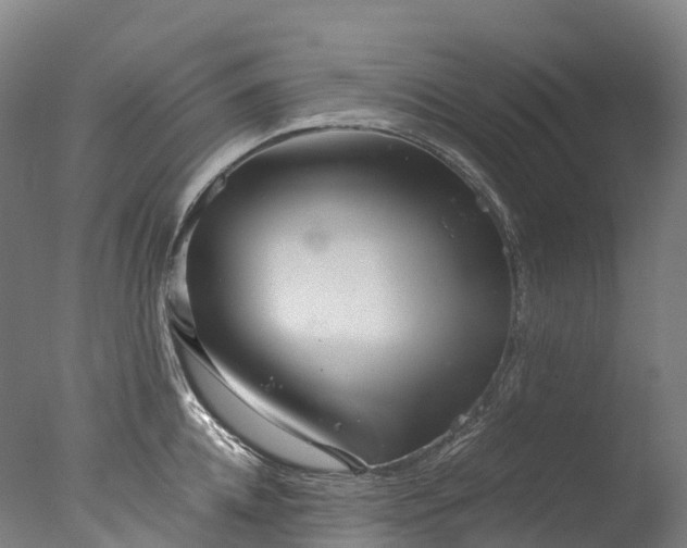 X0000076430952200610161149