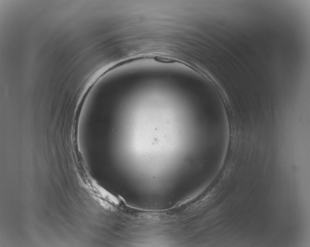 X0000076430956200610161149